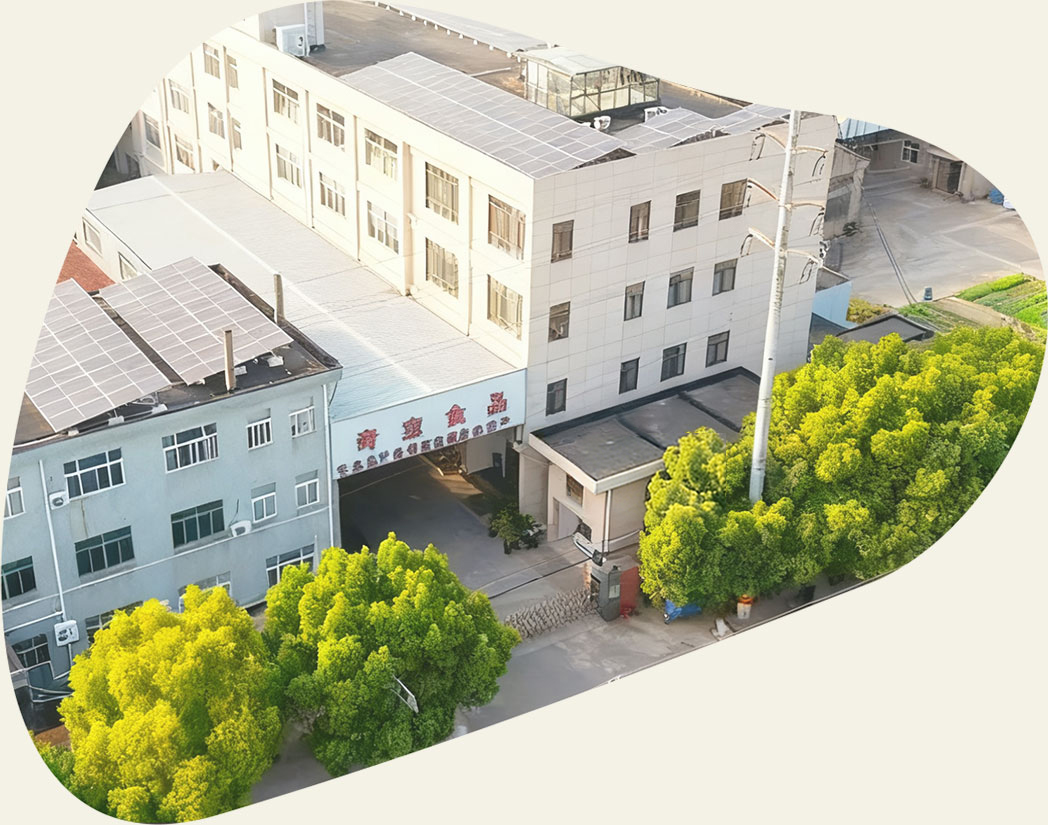 Ningbo Qibao Food Co., Ltd.